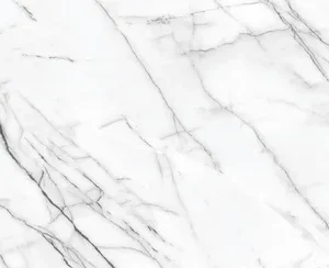 White Marble Tiles